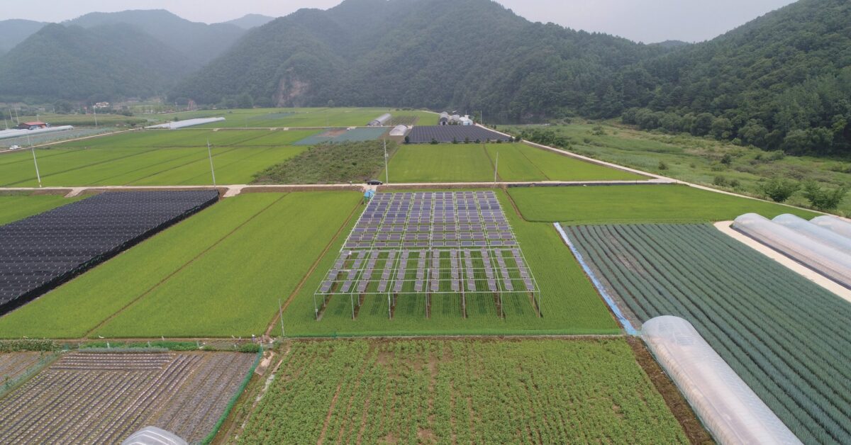 만양 영농형 태양광 농촌태양광 태양광설치 태양광설치비용